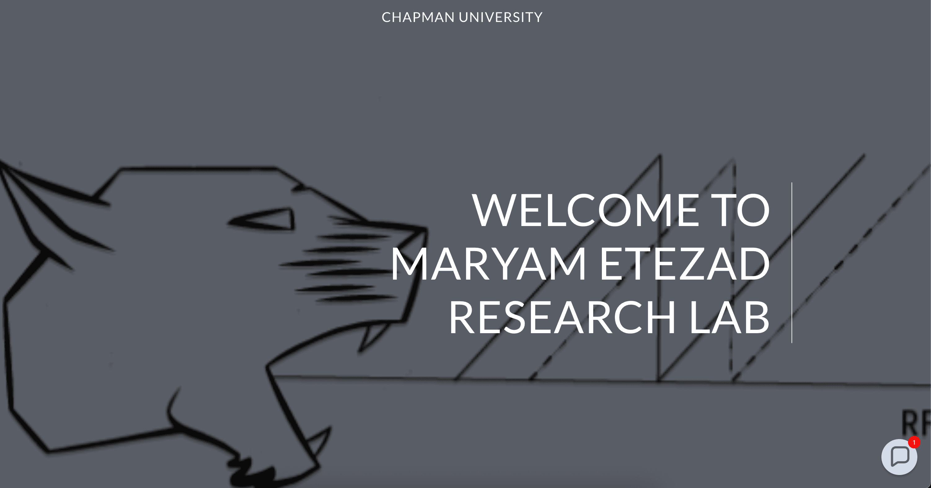 Braille Display for STEM Education